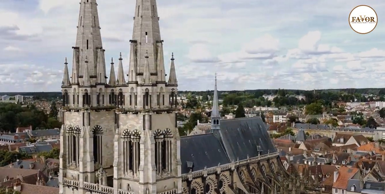 video-banner-image